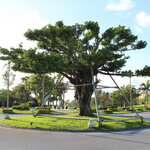 ザ・ブセナテラス - 