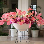 ザ・ブセナテラス - 