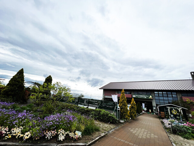 みどりの杜のカフェ - 荒井（カフェ）の写真