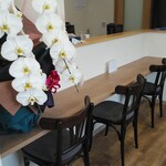 ごはんのお店 えい美 - カウンター席