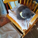 遊の丘 - 極めてお利口さんなモコちゃん(R5.4.27撮影)