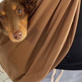 小型犬入店OK！大切なわんちゃんと一緒に食事を楽しめる♪