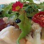 オマールエビとホタテ貝・アワビのサラダ仕立て・春の装い
          