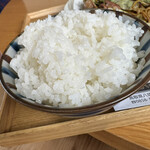 ホームハヤブサ - ご飯大盛り