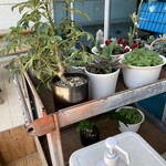 バスキング コーヒー - 