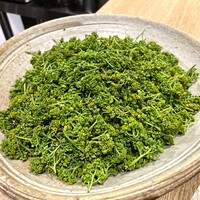御幸町 田がわ - 