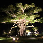 ザ・ブセナテラス - 