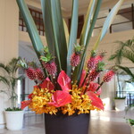 ザ・ブセナテラス - 