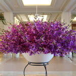 ザ・ブセナテラス - 