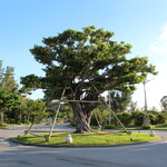 ザ・ブセナテラス - 