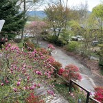 Aromatherapy & Cafe Bube