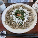蕎麦cafe もなてしお - 梅しそそば