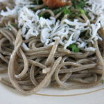 蕎麦cafe もなてしお - 梅しそそばアップ