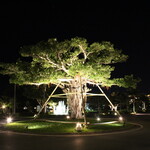 ザ・ブセナテラス - 