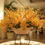 ザ・ブセナテラス - 