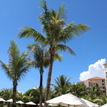 ザ・ブセナテラス - 