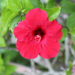 ザ・ブセナテラス - 