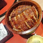 Unagi Washoku Shirakawa - 