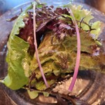 Mori no Naka no Restaurant Kodou - 