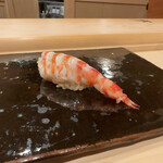 鮨 むらやま - 車海老