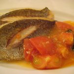 カーサ カルマ - 