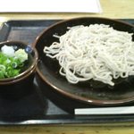 いづみ庵 - ざるそば