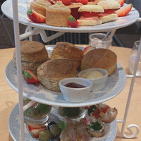 Tsuchi 農園野菜とチーズ料理 - 