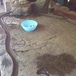 愛の里 - 石造りののソーメン流し