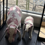 前田牧場 ファーマーズカフェ - 