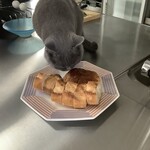 CALVA - パンをクンクンする伝次郎