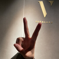 スガラボヴィー - 