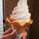 アイスクリームショップ - 料理写真: