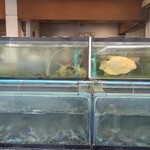 Somboon Seafood - 生け簀