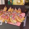 fruits pachira