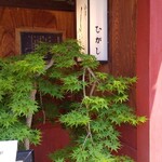 茶房 やなぎ庵 - 