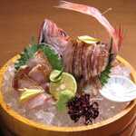 Grilled Doguro Sashimi