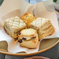 PIGNETO - 