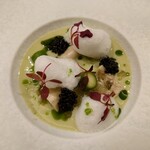 Maison DIA Mizuguchi - ベルーチェ、濃度の濃いスープとソースの間くらいの味わい。イタリア産のキャビアの塩味、スペインのカモンセラーヌという生ハムのお出汁。ゼリーは独自離島のピノグリと月桂樹の葉を使ってる清涼感ある味わい。