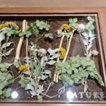 ラチュレ - 季節に合わせて変えられると聞く植物のケース。なるほど春らしい植物たちですね☆* 次回も注目楽しみにしています