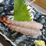 おんわ - 車海老のお造り