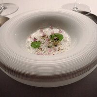 l'elan - 