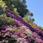 花の茶屋 - 