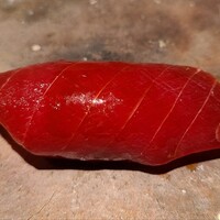 鮨 やくしどう - ⑬本鮪赤身(宮城県塩釜産、138kg、やま幸)
                      赤身独特の風味とコクがあります
                      軽く漬けにされておりますが、酸味が微かにあり、旨みが華やか