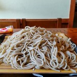 茅ヶ崎 そば処 榮家 - 大盛りです