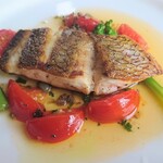 オルトラーナ - 