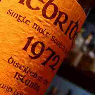 ダンディライオン_2