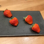 練馬 鳥長 新潟 - 