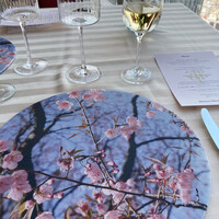 エノテーカ ピンキオーリ 名古屋 - 