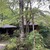 甘酒茶屋 - 外観写真:緑に囲まれた風情ある茅葺屋根の美しい建物
