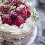 マコトエバラ×モンレアル - 